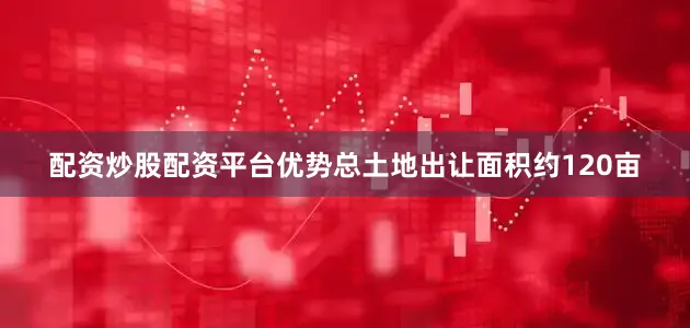 配资炒股配资平台优势总土地出让面积约120亩