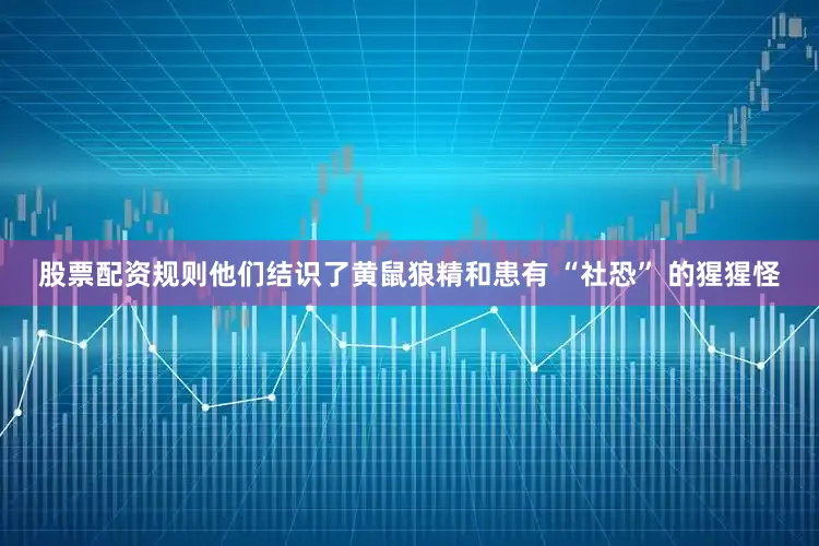 股票配资规则他们结识了黄鼠狼精和患有 “社恐” 的猩猩怪