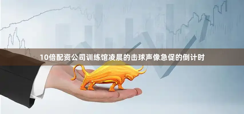 10倍配资公司训练馆凌晨的击球声像急促的倒计时